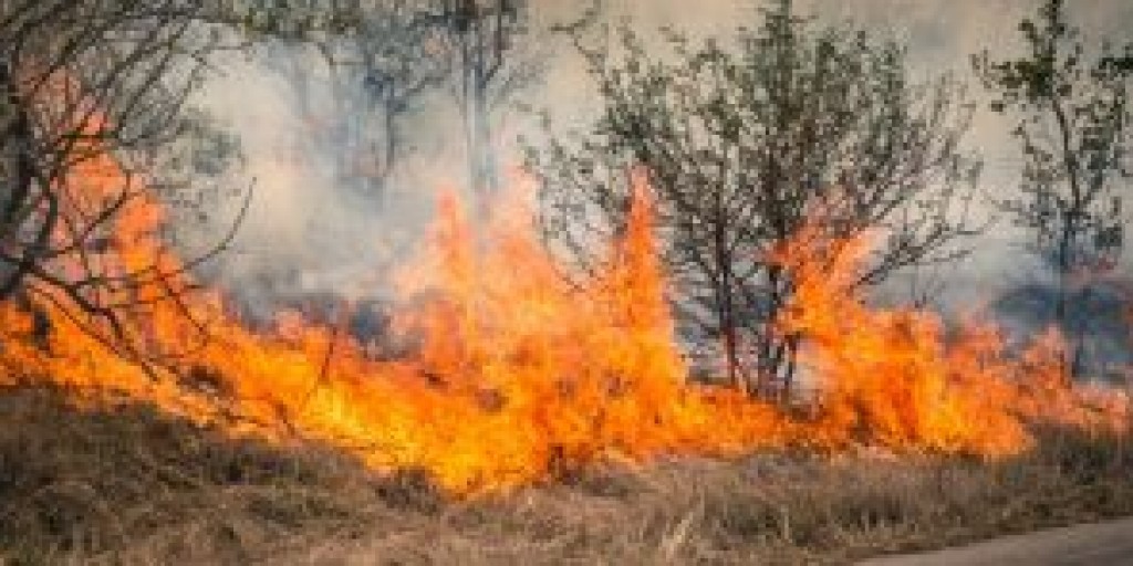 The Impact Of Wildfires On Personal Finances